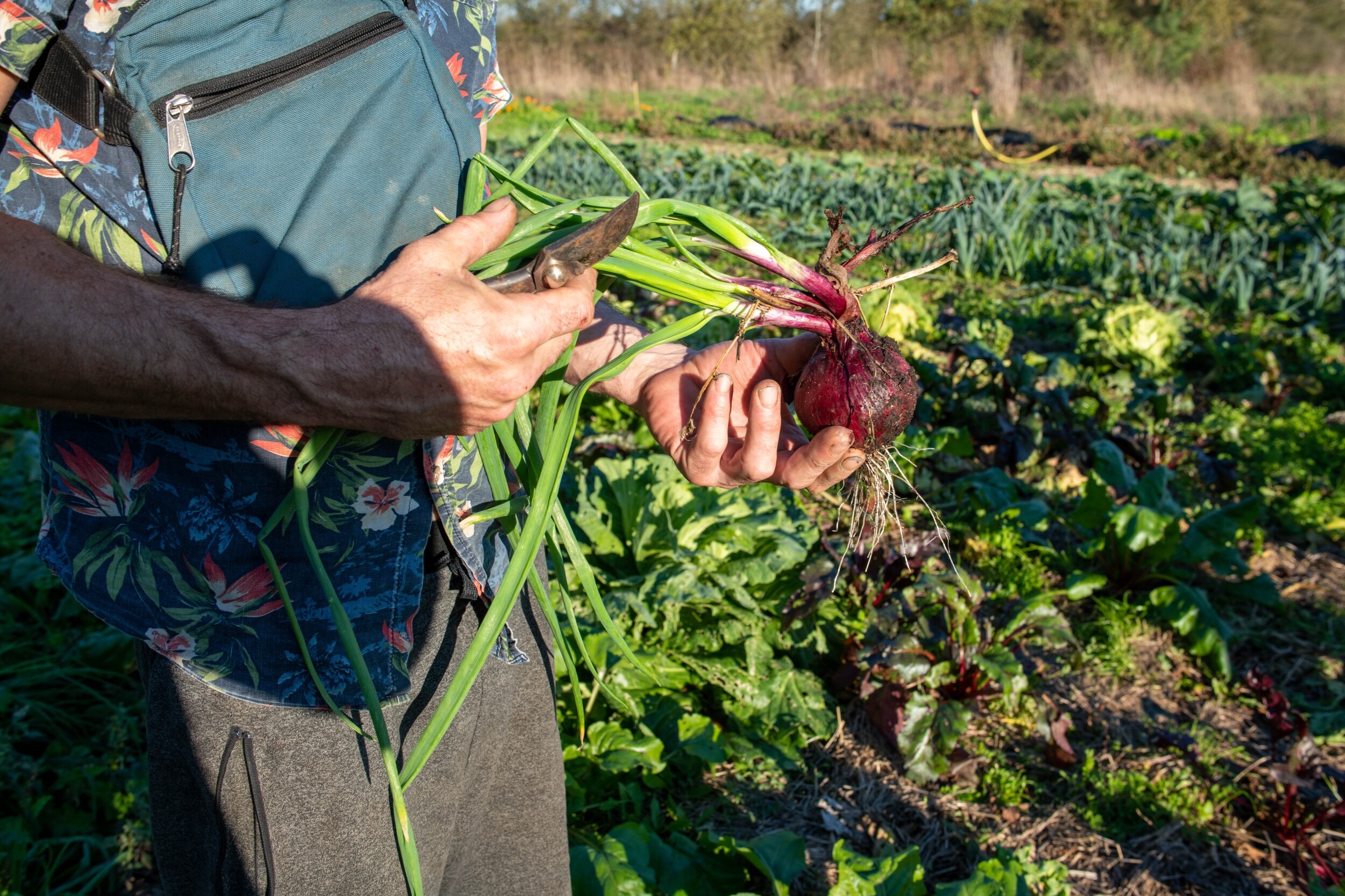 Wecandoo Inspirez votre équipe et initiez vous à la permaculture avec