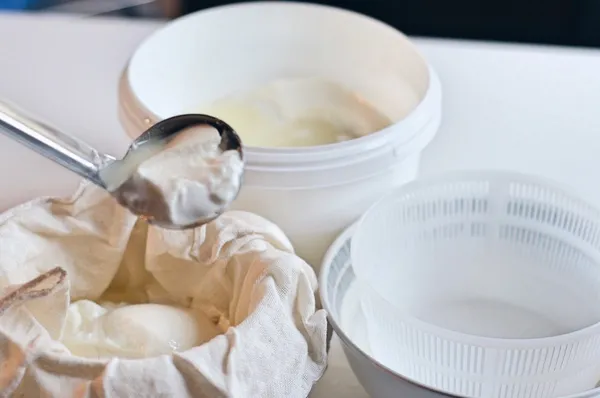 Créez 3 produits laitiers - Image n°3 - Wecandoo