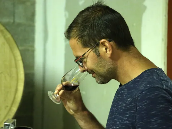 Visitez un vignoble du Beaujolais et dégustez le vin produit sur place - Image n°3 - Wecandoo