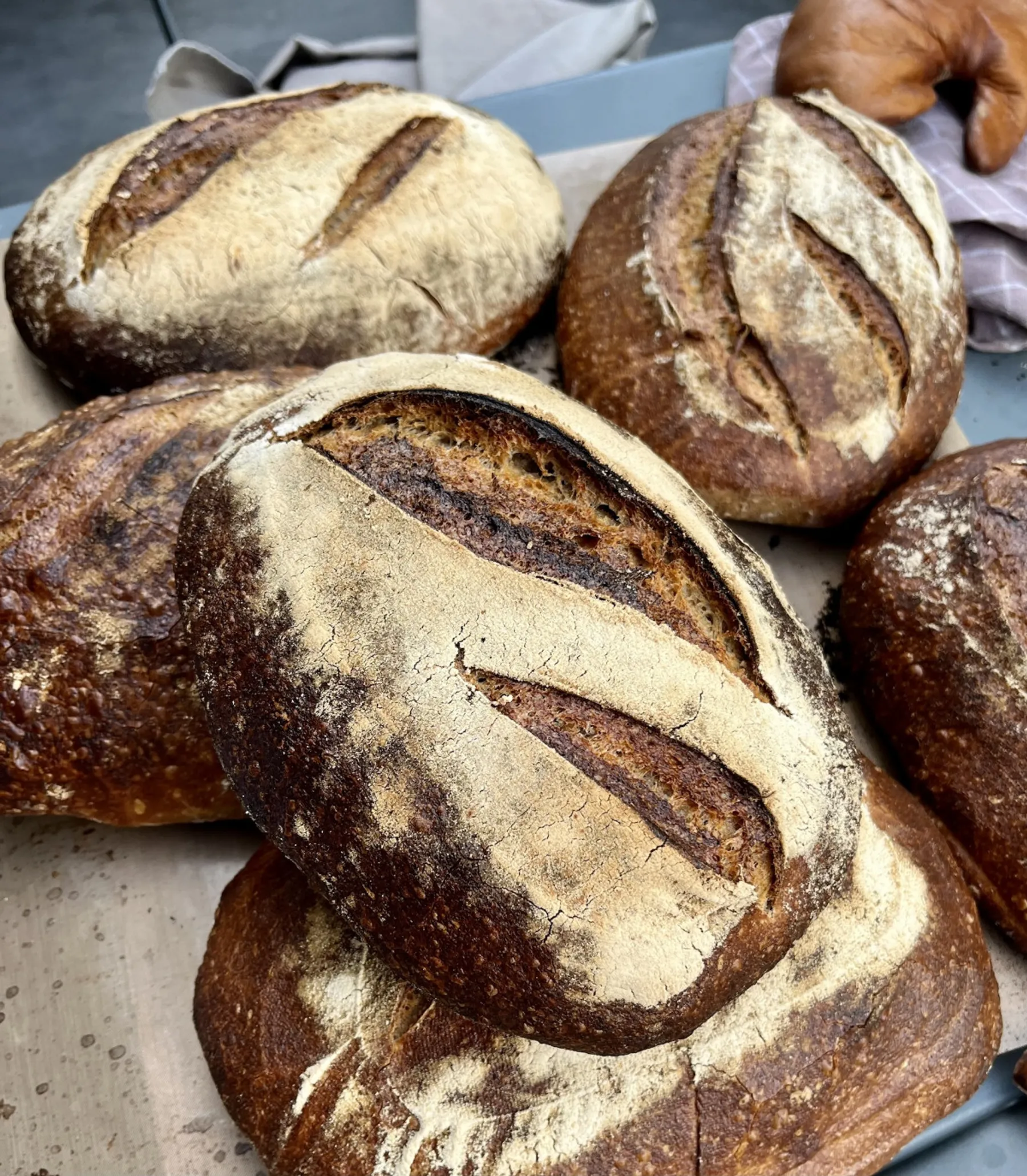 Initiez-vous à la boulangerie artisanale au levain - Niveau 1 -  2J - Image n°4 - Wecandoo
