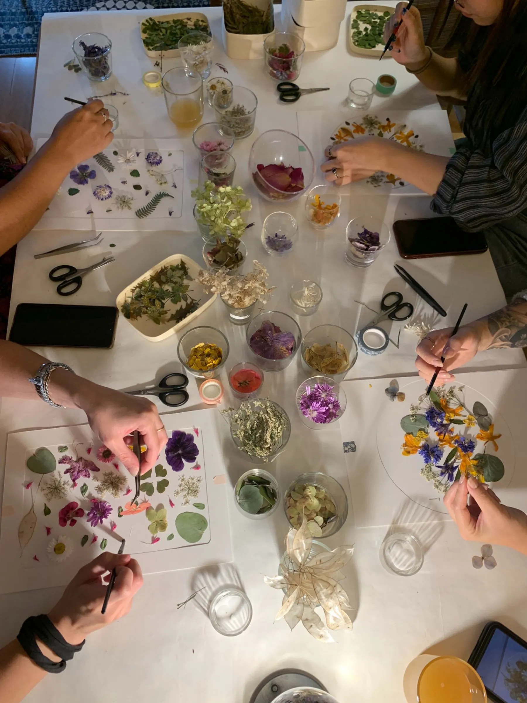 Créez votre herbier en fleurs séchées avec Nathalie - Image n°2 - Wecandoo