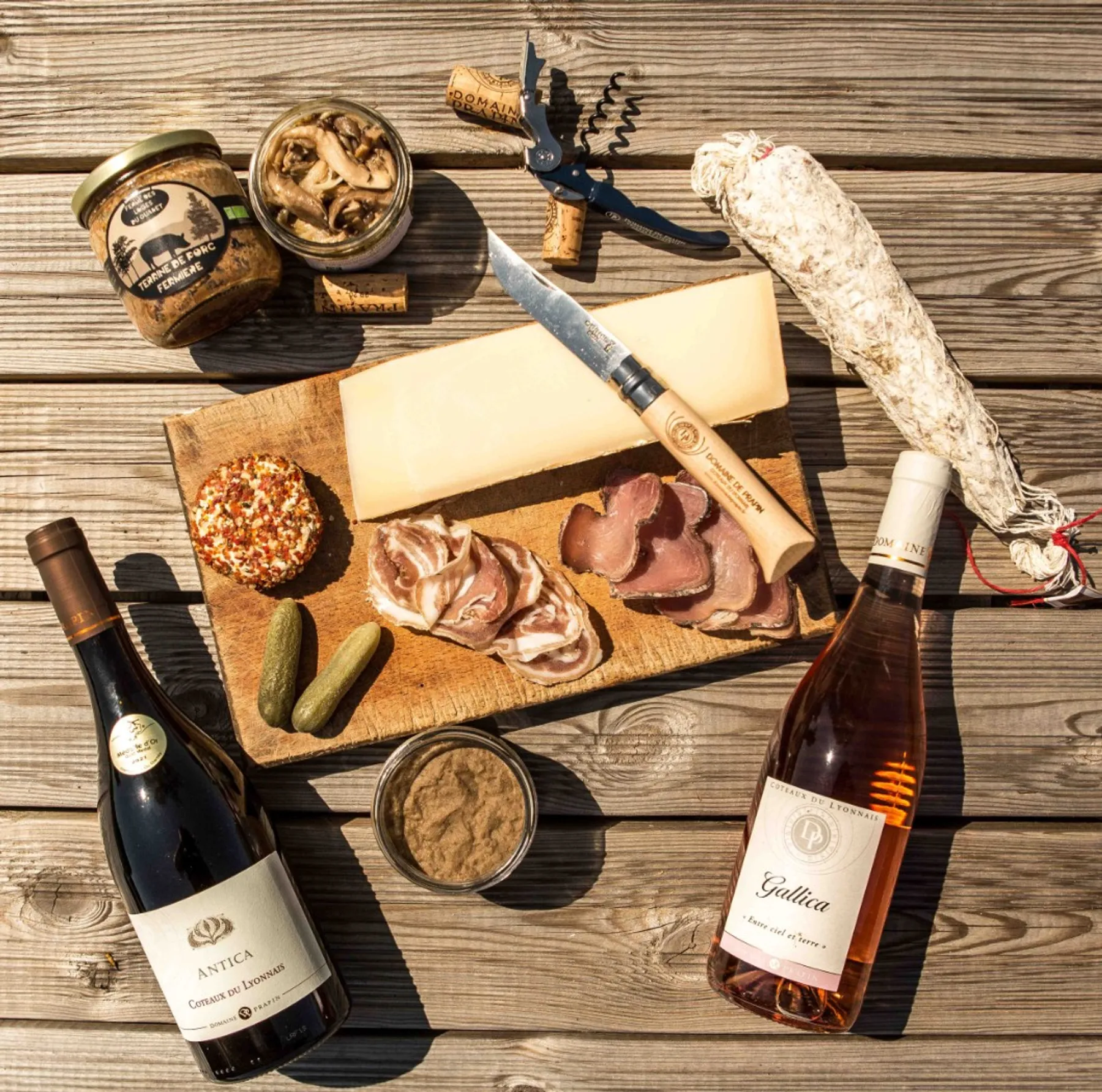 Rassemblez votre équipe dans un domaine viticole en biodynamie et dégustez des vins autour d'un apéro dînatoire - Image n°5 - Wecandoo