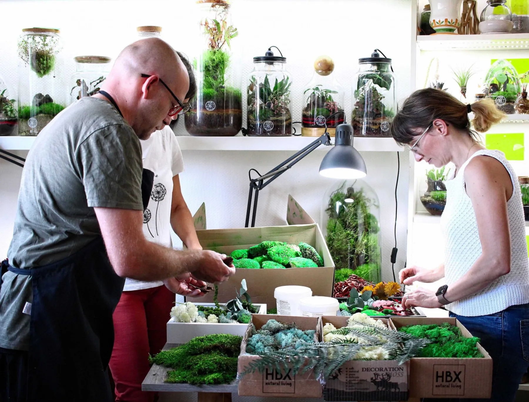 Réalisez votre cadre végétal - Image n°3 - Wecandoo