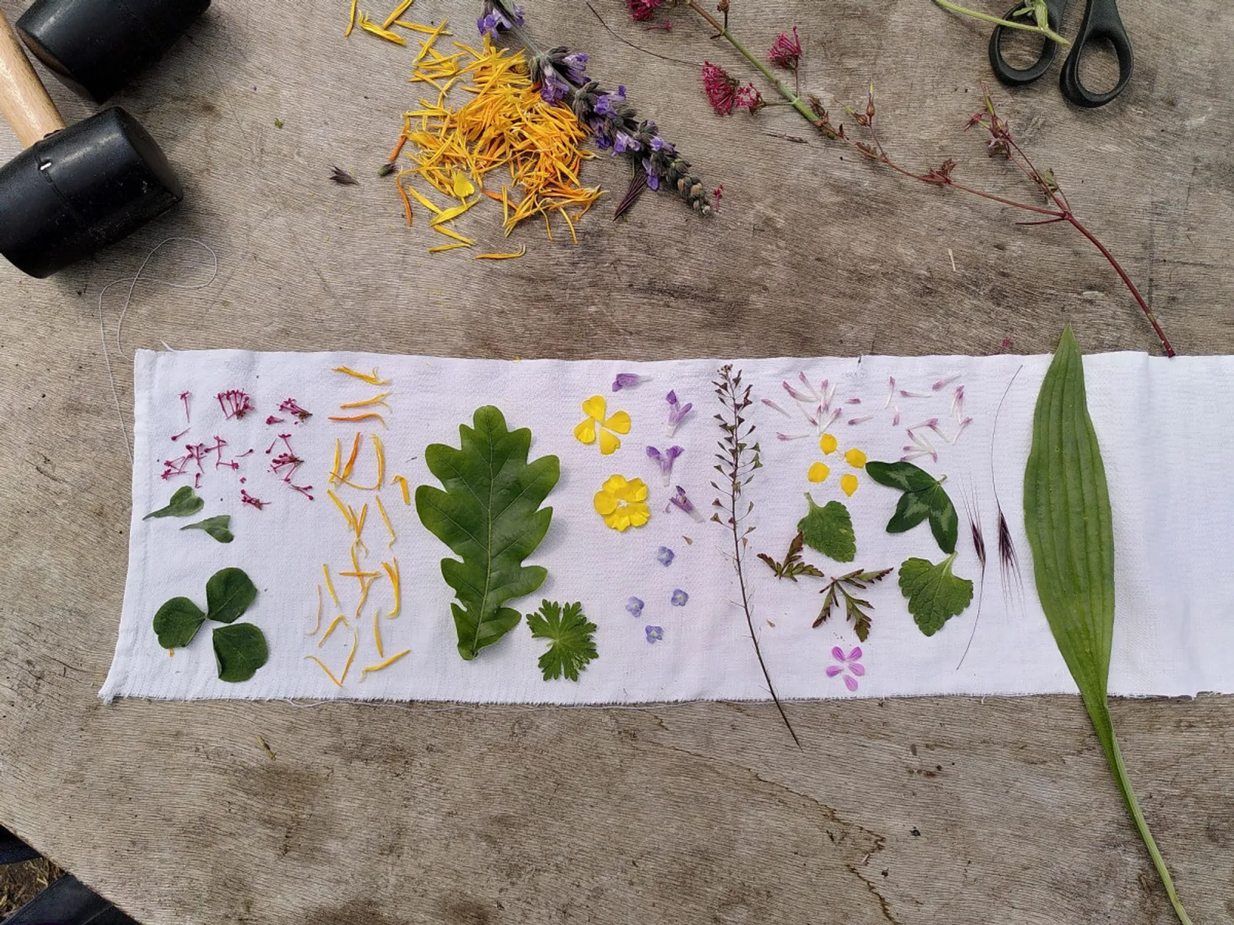 Initiez-vous à l'impression végétale - Image n°5 - Wecandoo