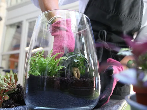 Créez votre terrarium ouvert unique - Image n°3 - Wecandoo