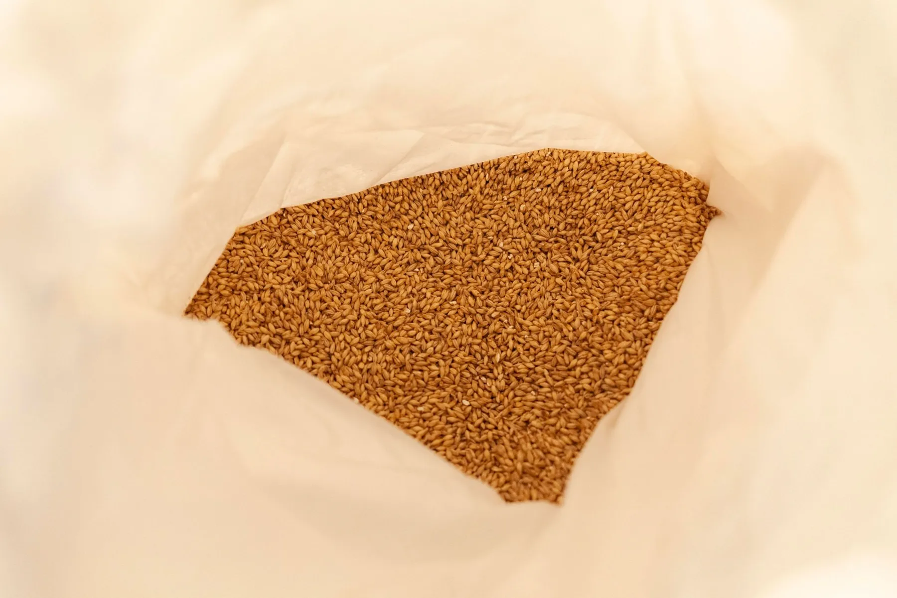 Embarquez votre équipe dans l'univers de la bière et dégustez 6 bières artisanales - Image n°1 - Wecandoo