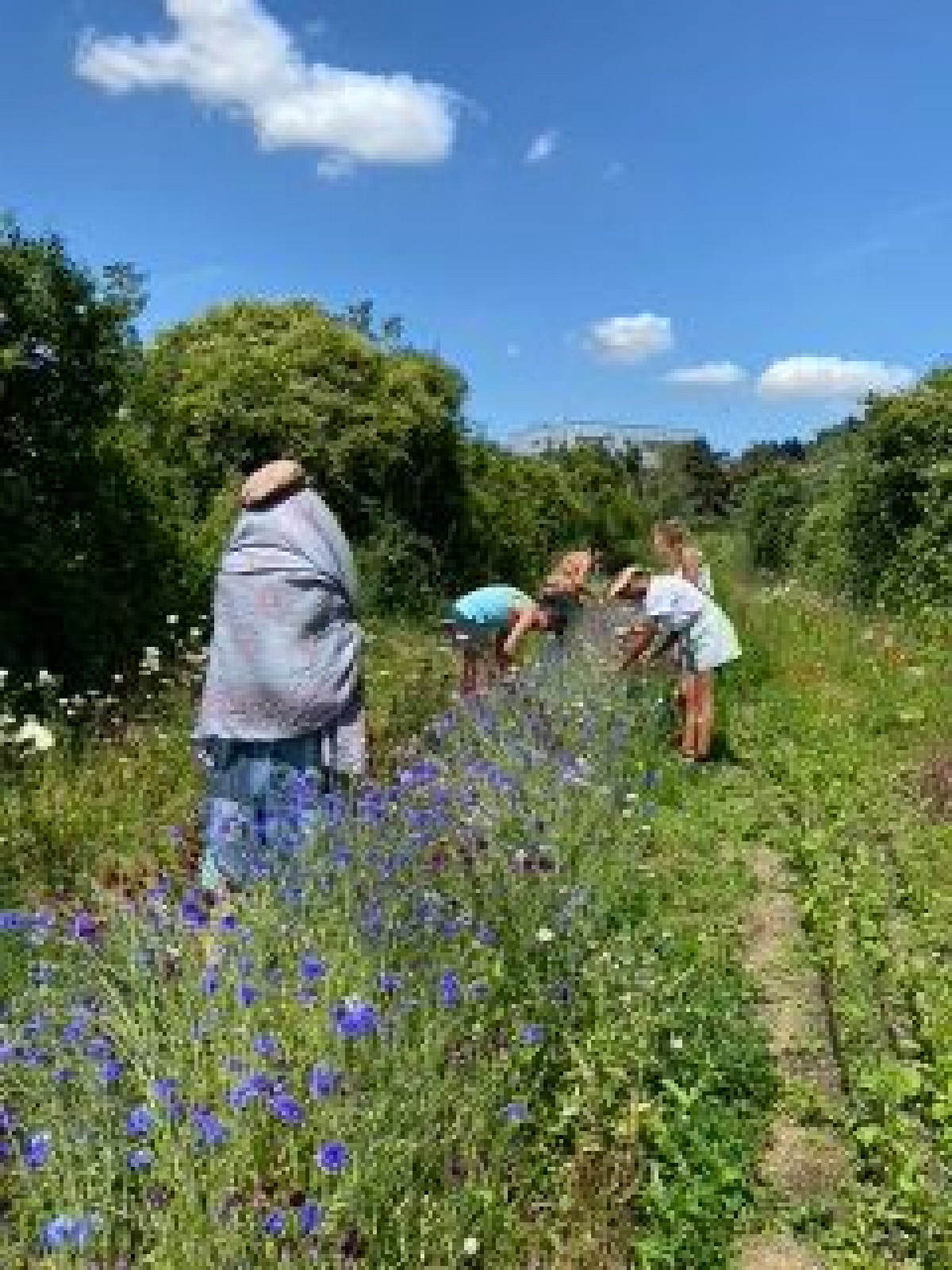 Wecandoo - Visitez une ferme florale et découvrez la permaculture - Image n°7