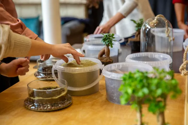 Créez votre terrarium sous cloche - Image n°2 - Wecandoo