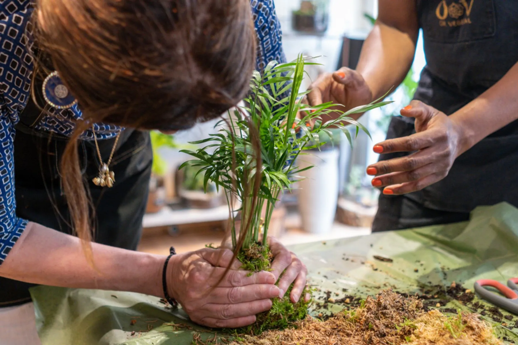 Composez votre kokédama - Image n°4 - Wecandoo