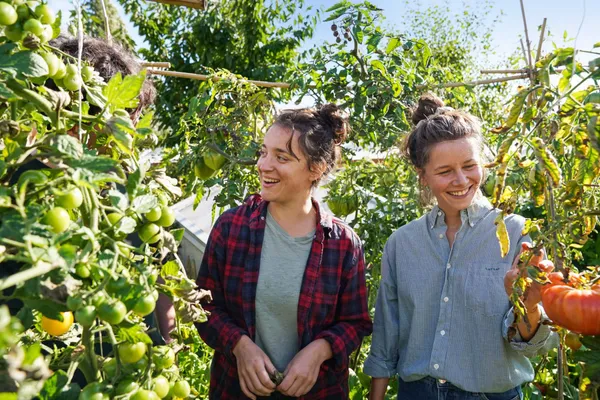 Wecandoo - Initiez-vous à l’agriculture urbaine sur une journée