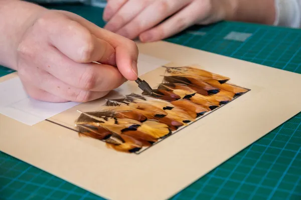 Initiez-vous à la plumasserie - Image n°4 - Wecandoo