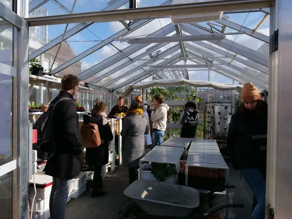 Réalisez votre kit de production de champignons - Image n°3 - Wecandoo