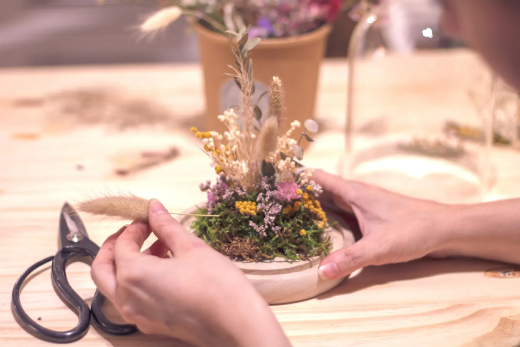 Créez votre cloche végétale - Image n°3 - Wecandoo