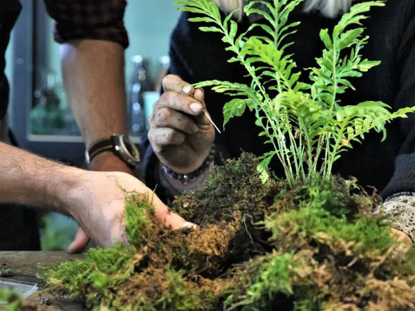 Réalisez votre kokédama - Image n°3 - Wecandoo