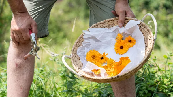 Fabriquez votre aquarelle - Image n°2 - Wecandoo