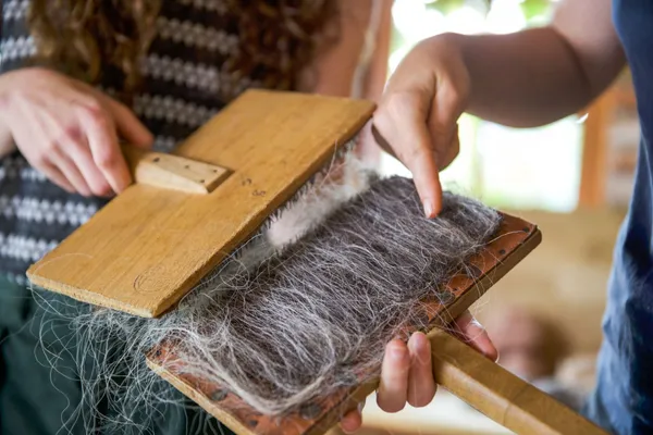 Immergez vous dans dans un élevage de brebis et initiez-vous à la transformation de la laine - Afbeelding nr. 2 - Wecandoo