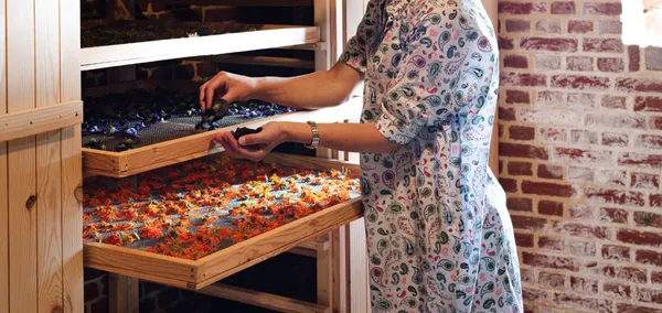 Pick your medicinal plants and concoct your natural tea or remedy - Afbeelding nr. 4 - Wecandoo