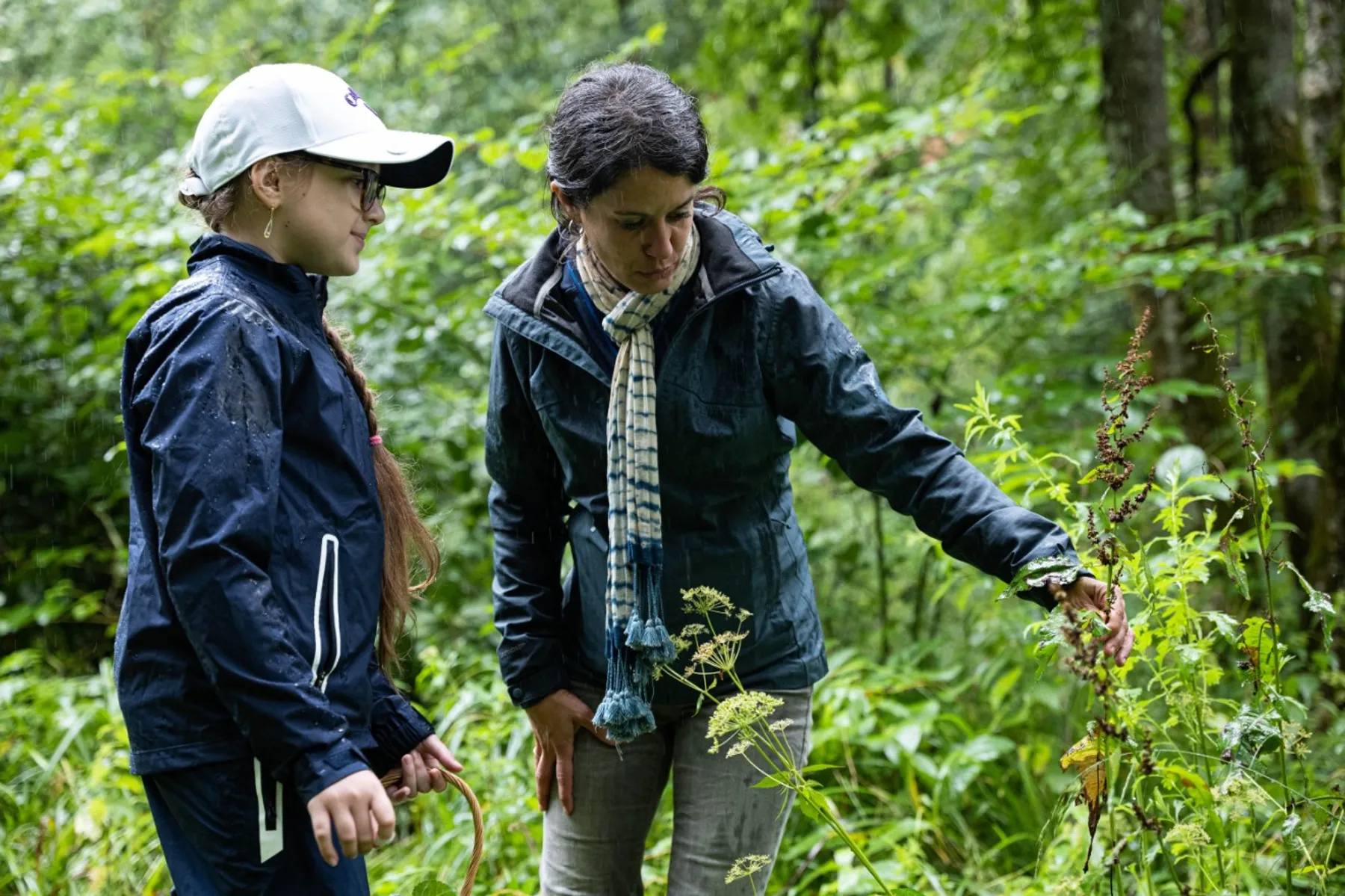 Initiez-vous à la cueillette sauvage - Image n°4 - Wecandoo