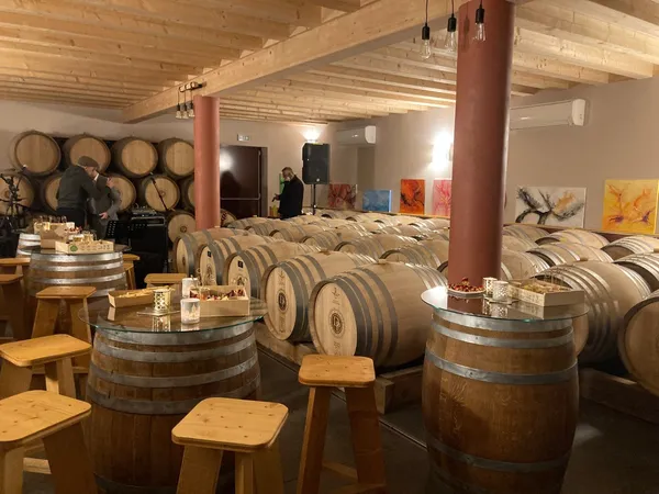 Rassemblez votre équipe dans un domaine viticole en biodynamie et dégustez des vins autour d'un apéro dînatoire - Afbeelding nr. 4 - Wecandoo