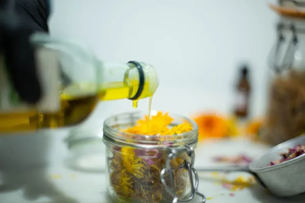 Concevez votre macérat huileux et votre baume de plantes médicinales - Image n°2 - Wecandoo