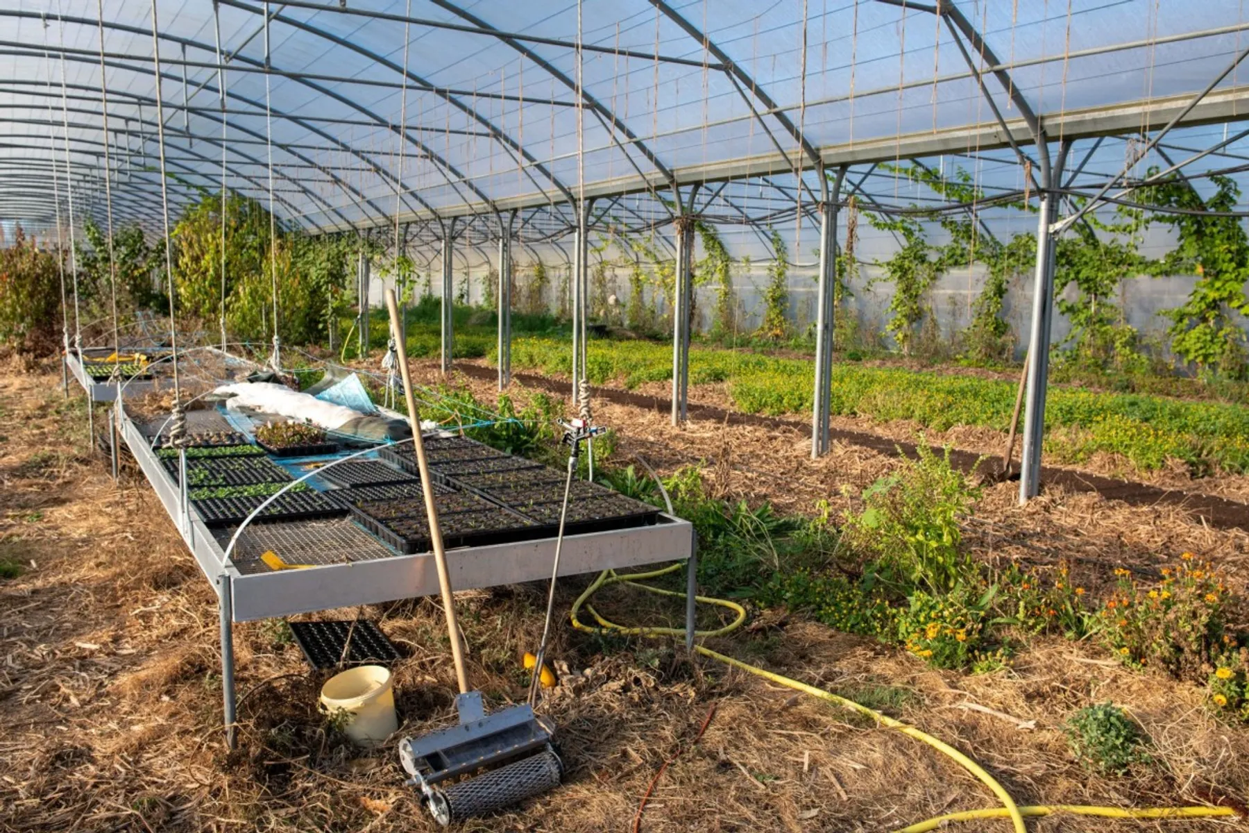 Initiez-vous à la permaculture - Image n°1 - Wecandoo