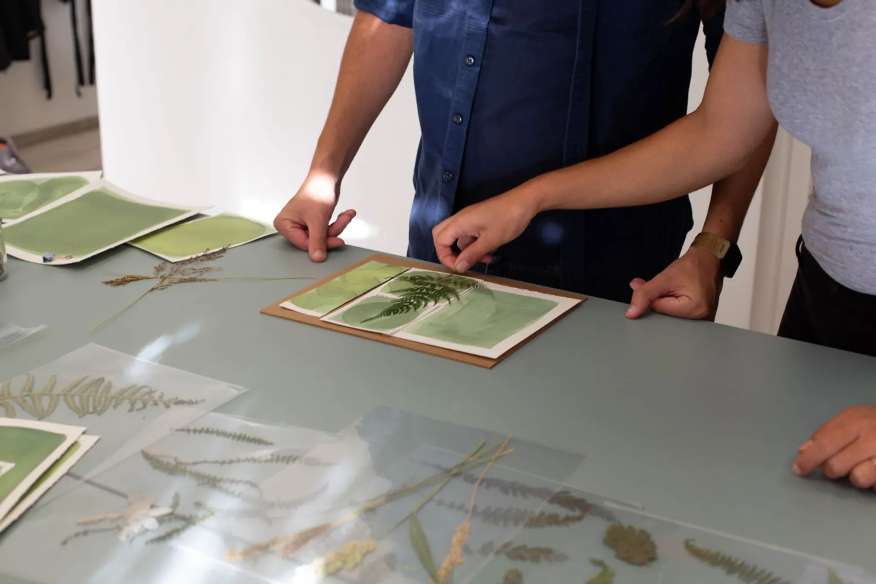 Initiation complète au cyanotype avec végétaux et négatifs - Image n°1 - Wecandoo