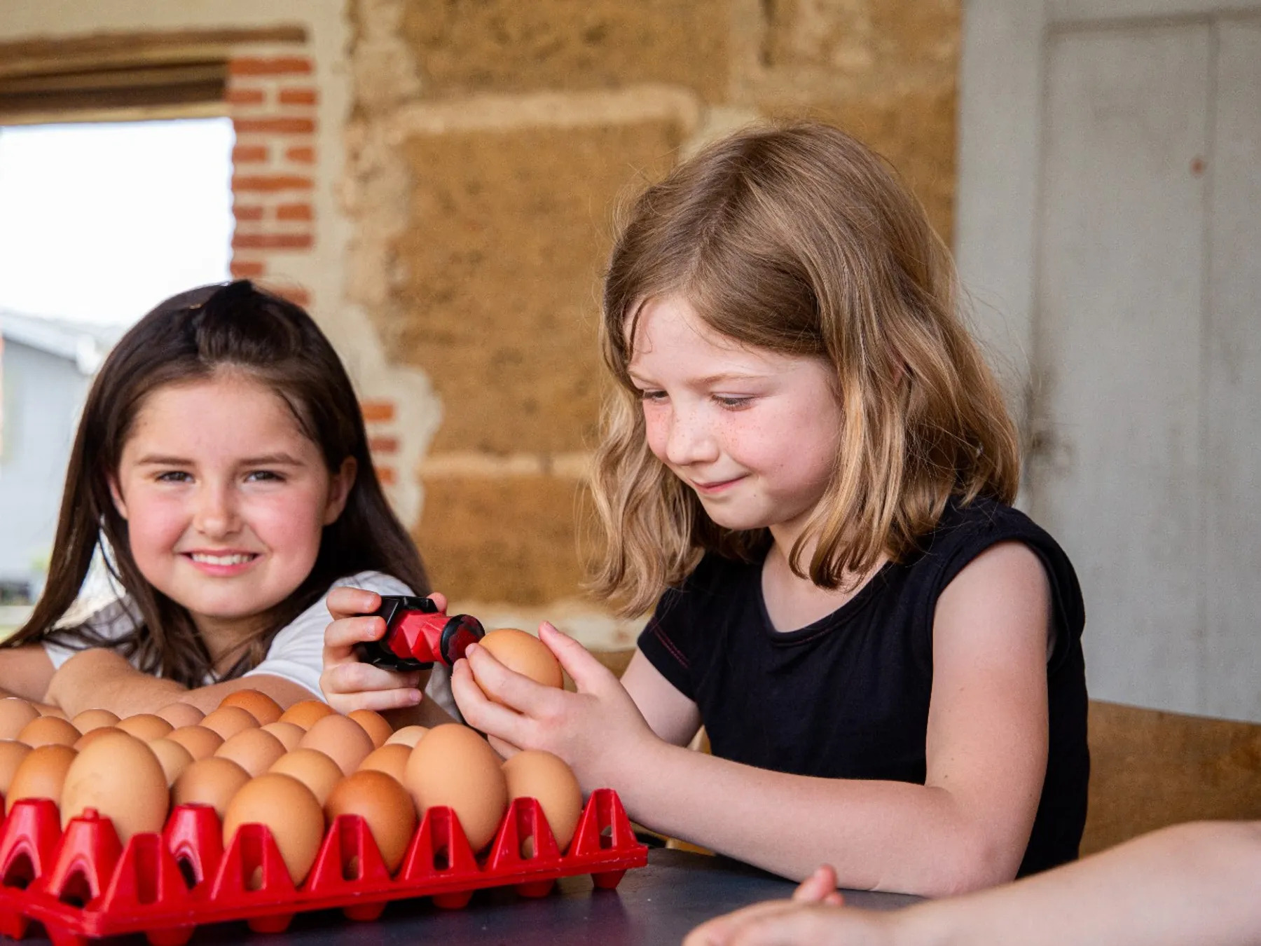 Découvrez un élevage de poules et repartez avec des œufs frais - Image n°4 - Wecandoo
