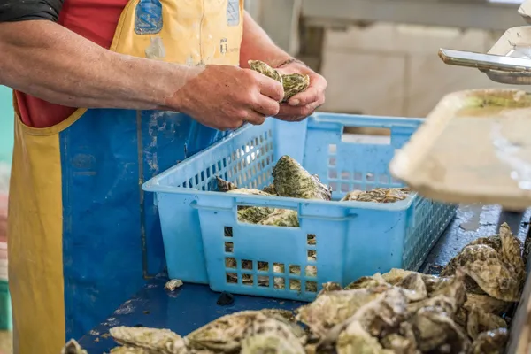 Visiter une exploitation ostréicole et dégustez des huîtres - Image n°3 - Wecandoo