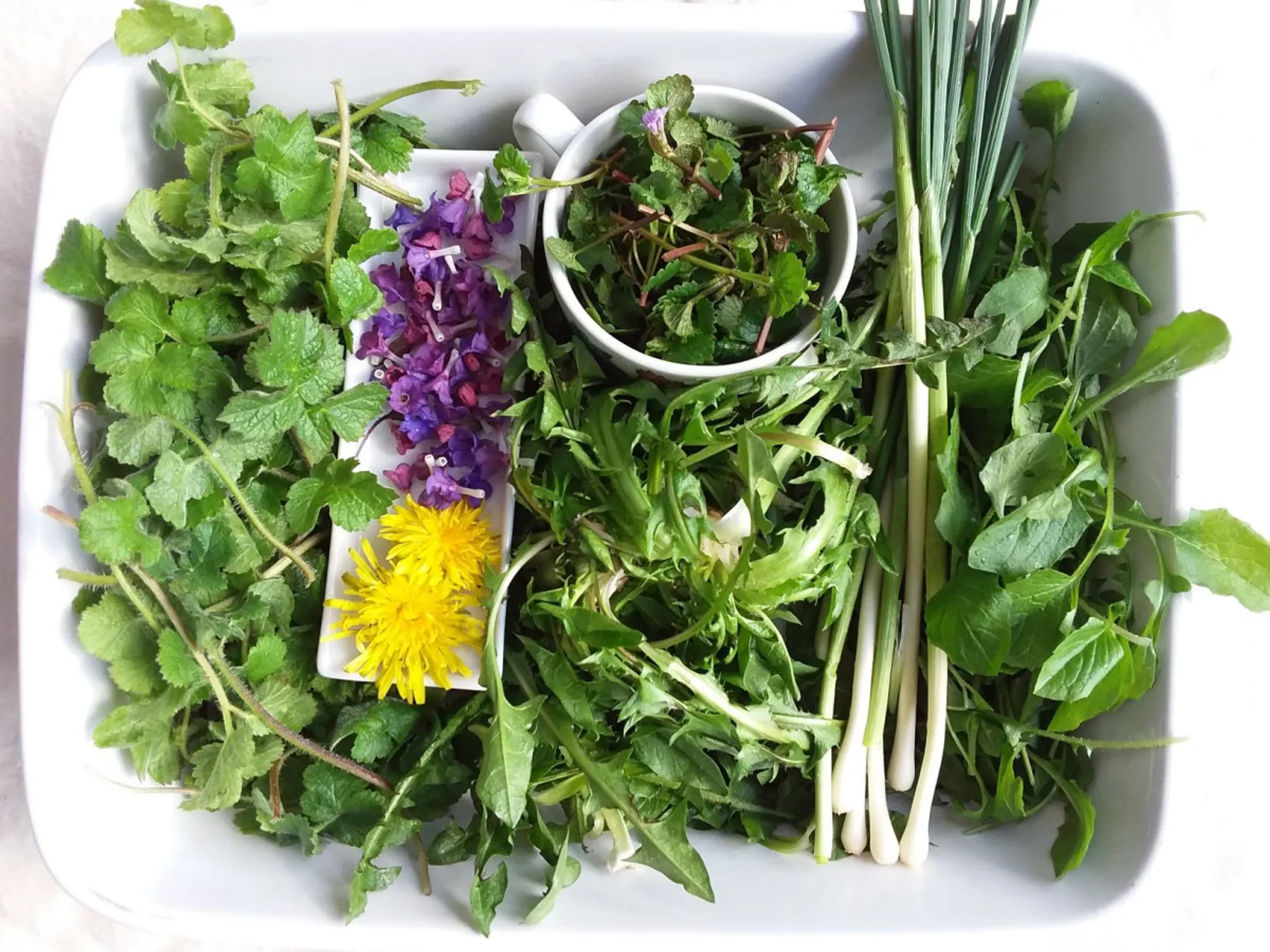 Initiez-vous à la cueillette sauvage - Image n°3 - Wecandoo