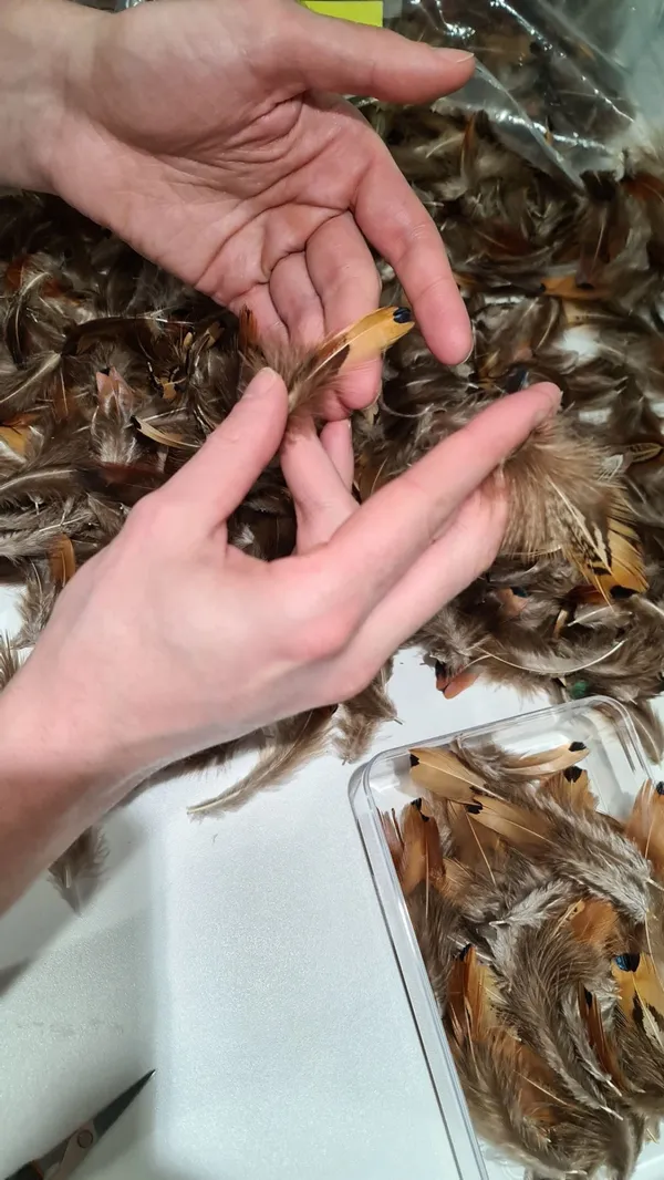 Initiez-vous à la plumasserie - Image n°3 - Wecandoo