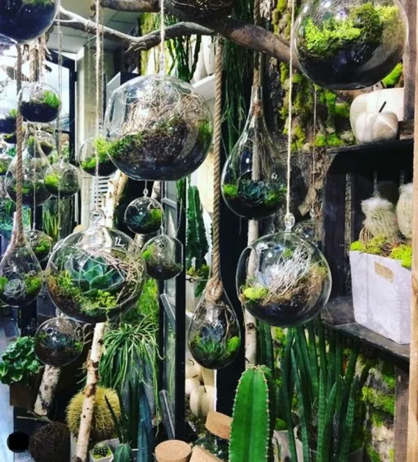 Fabriquez un grand terrarium - Image n°2 - Wecandoo