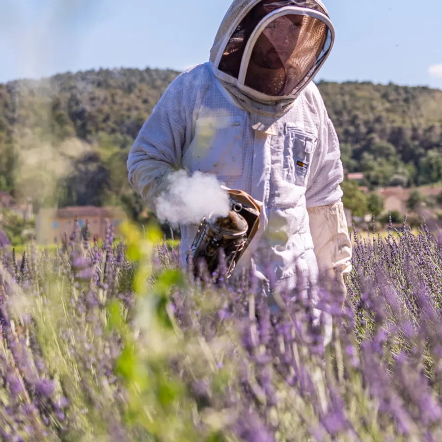 Initiez-vous à l'apiculture - Image n°1 - Wecandoo