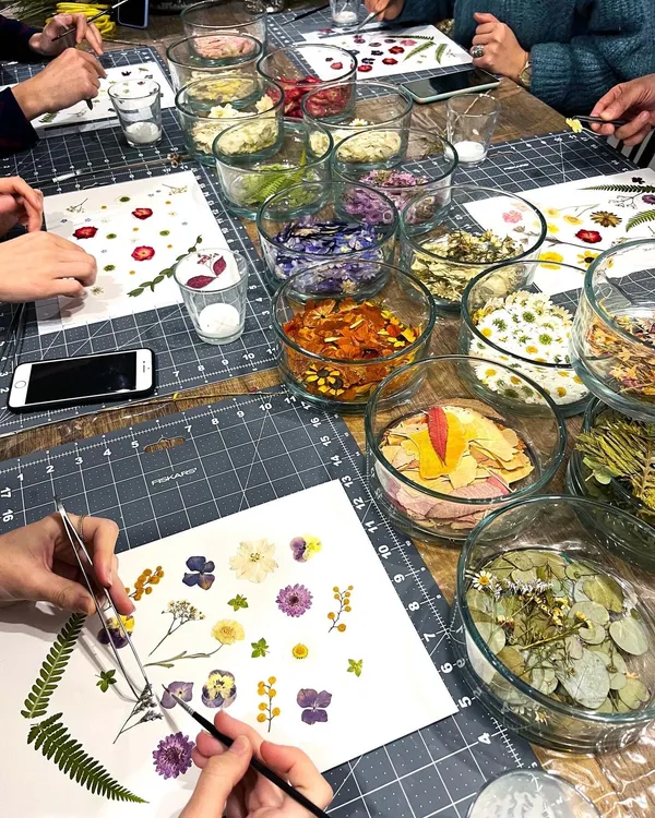 Réalisez votre herbier de fleurs séchées - Afbeelding nr. 3 - Wecandoo