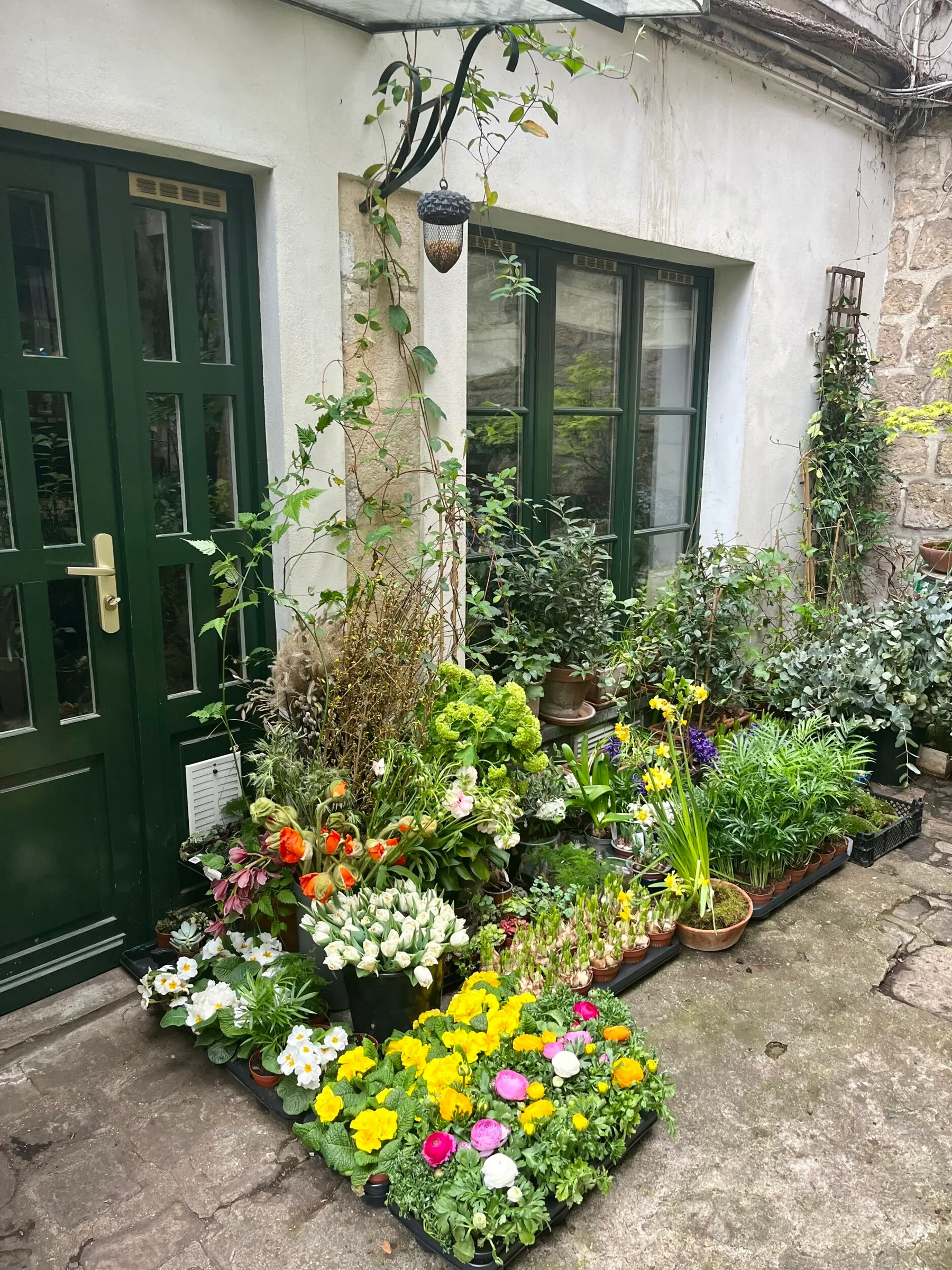 Réalisez votre herbier de fleurs séchées - Image n°4 - Wecandoo