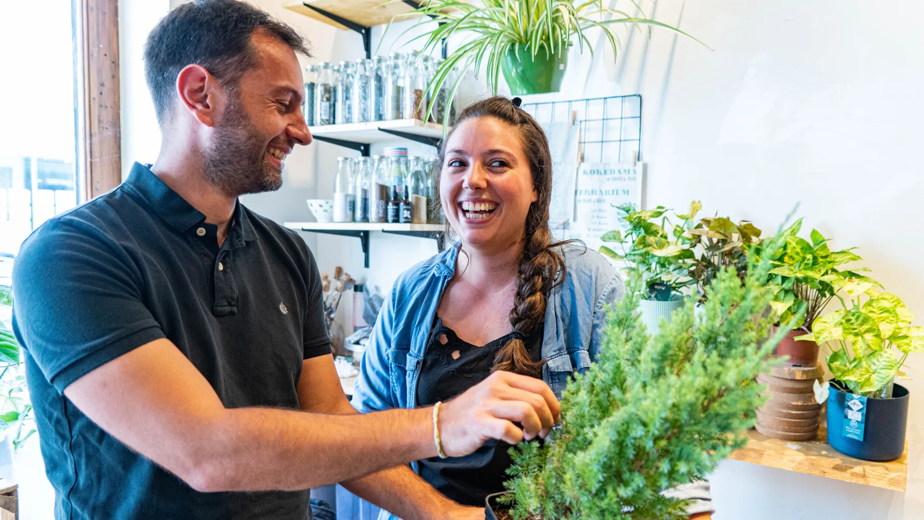 Réalisez votre bonsaï - Image n°3 - Wecandoo