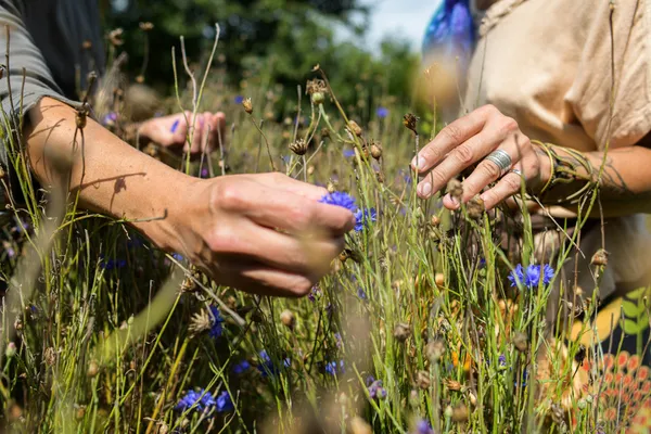 Visitez une ferme de plantes médicinales et composez votre tisane - Image n°2 - Wecandoo
