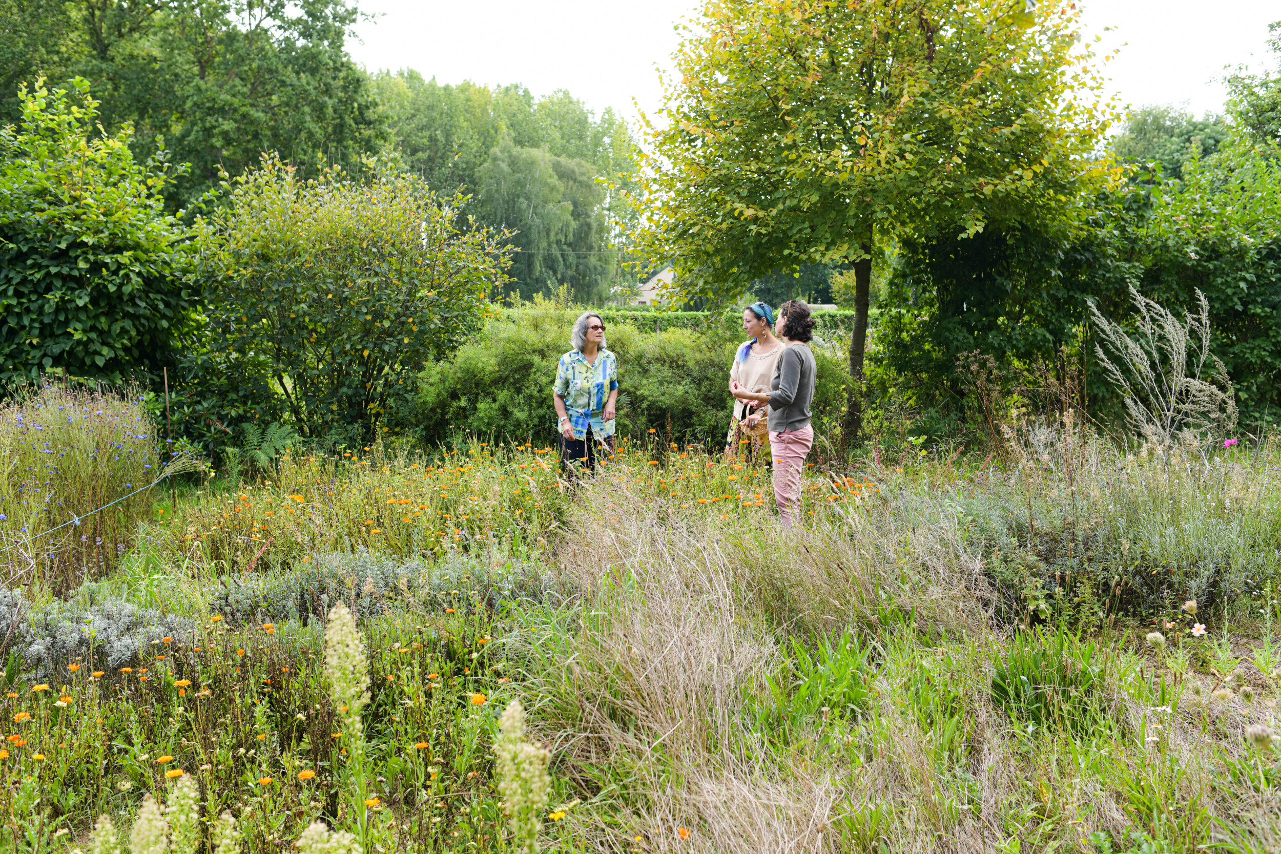 Wecandoo - Visitez une ferme de plantes médicinales et créez votre baume corporel naturel - Image n°1