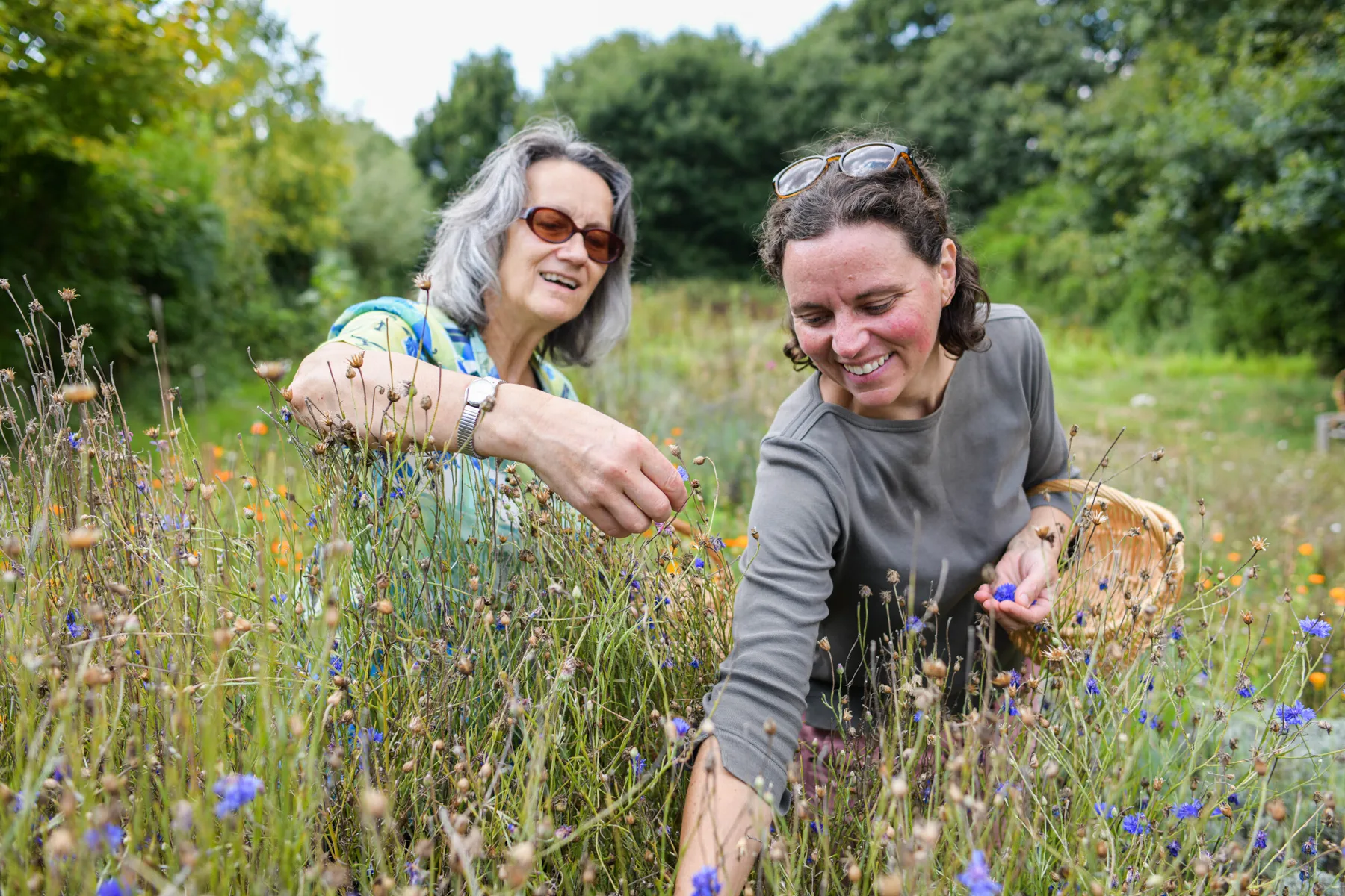 Visitez une ferme de plantes médicinales et créez votre baume corporel naturel - Image n°2 - Wecandoo