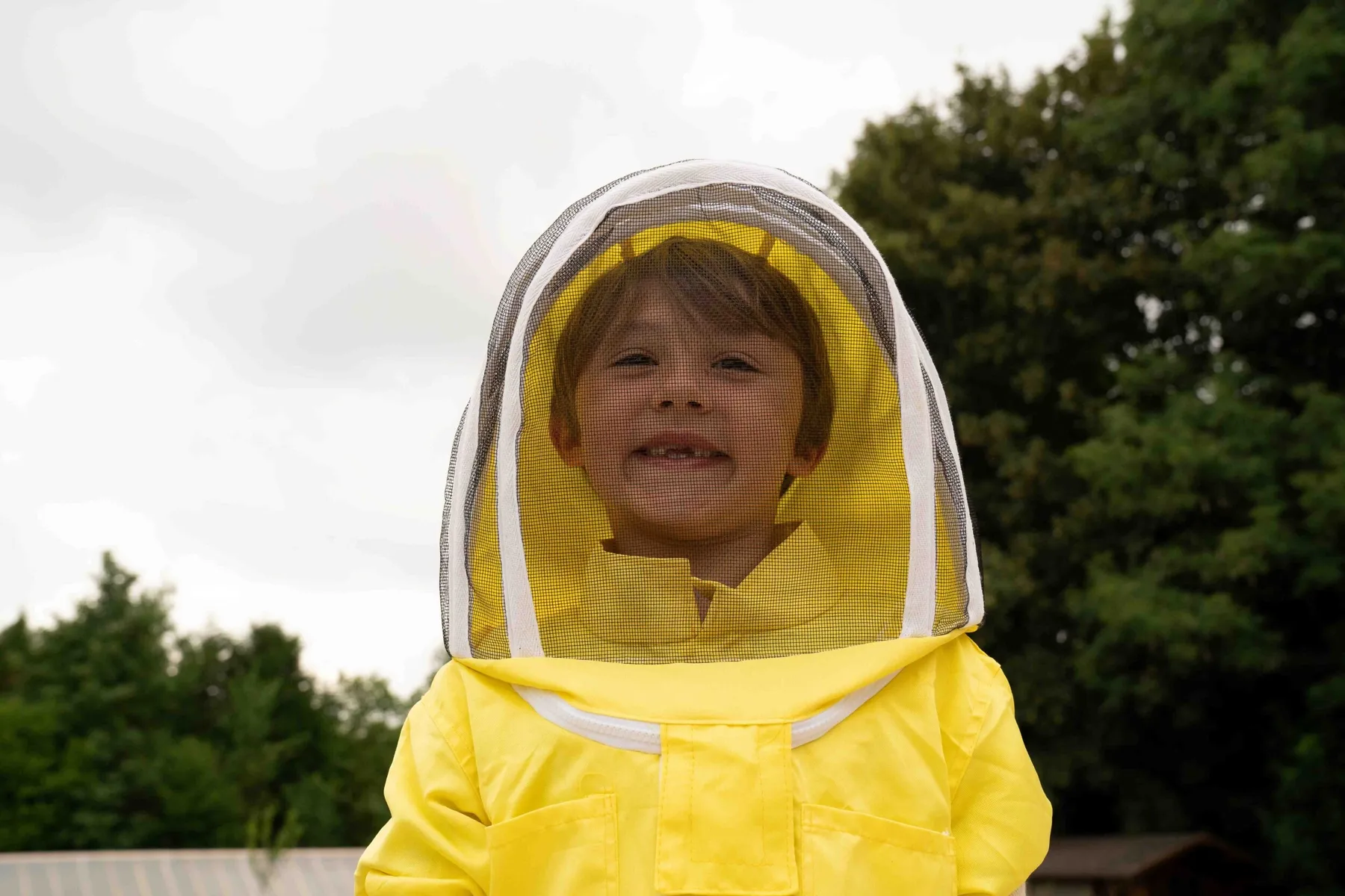 Découvrez l'apiculture en duo avec votre enfant - Image n°3 - Wecandoo