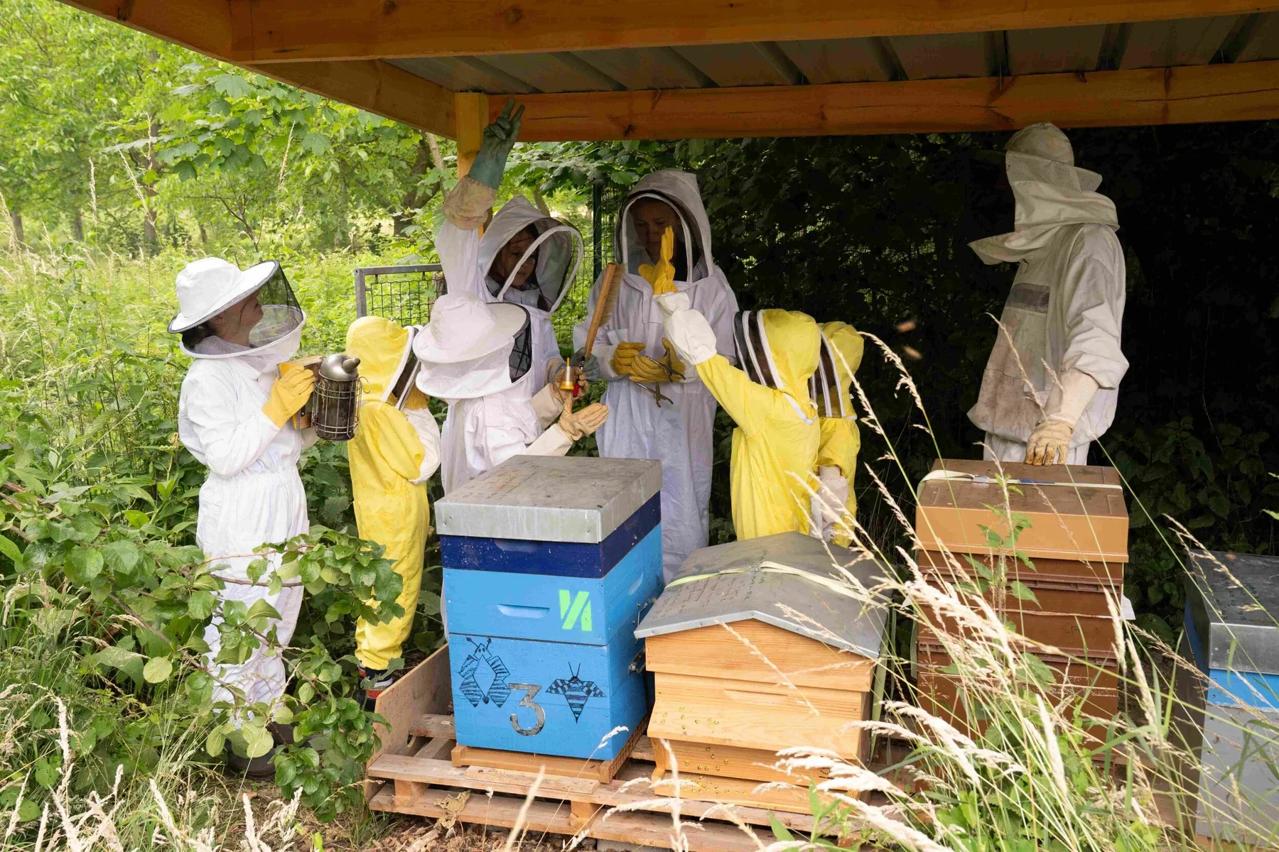 Découvrez l'apiculture en duo avec votre enfant - Image n°4 - Wecandoo
