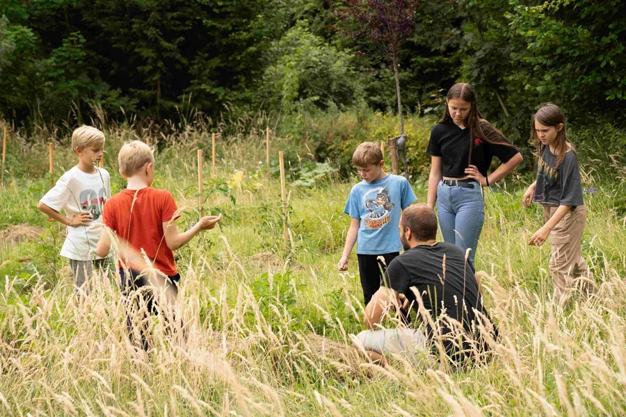 Découvrez l'apiculture en duo avec votre enfant - Image n°1 - Wecandoo