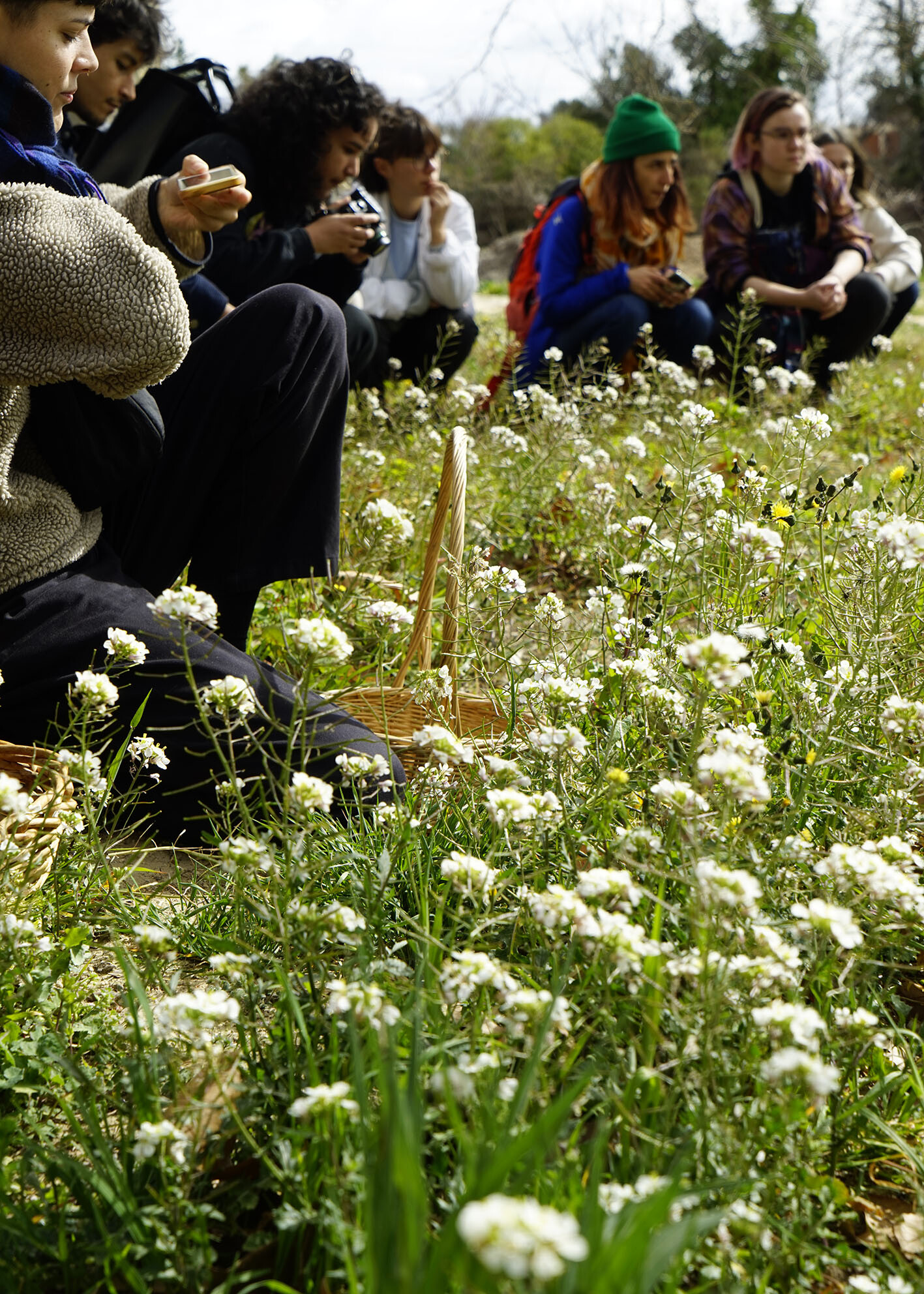 Wecandoo - Découvrez les plantes comestibles, entre jardin et cueillette sauvage ! - Image n°2