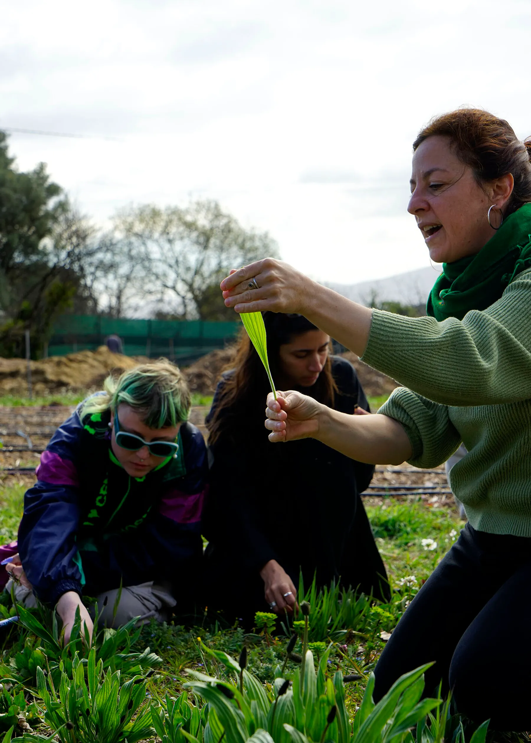 Découvrez les plantes comestibles, entre jardin et cueillette sauvage ! - Afbeelding nr. 3 - Wecandoo
