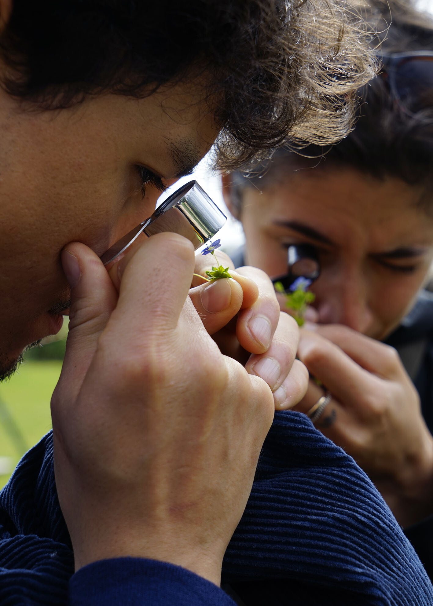 Wecandoo - Découvrez les plantes comestibles, entre jardin et cueillette sauvage ! - Image n°5