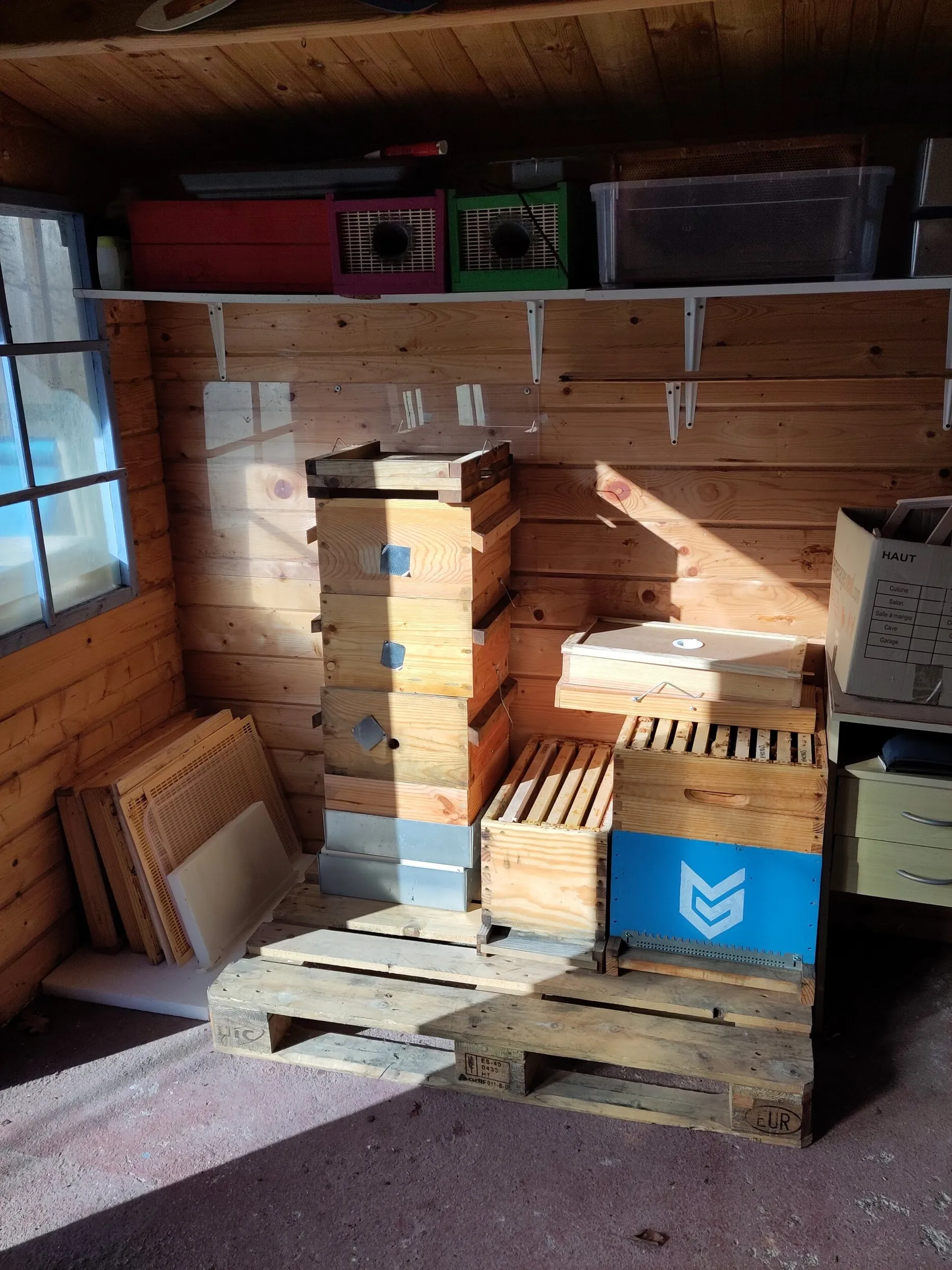 Apprenez à déguster du miel - Afbeelding nr. 3 - Wecandoo