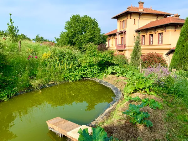 Réalisez des tisanes gourmandes dans une ferme en permaculture - Image n°2 - Wecandoo