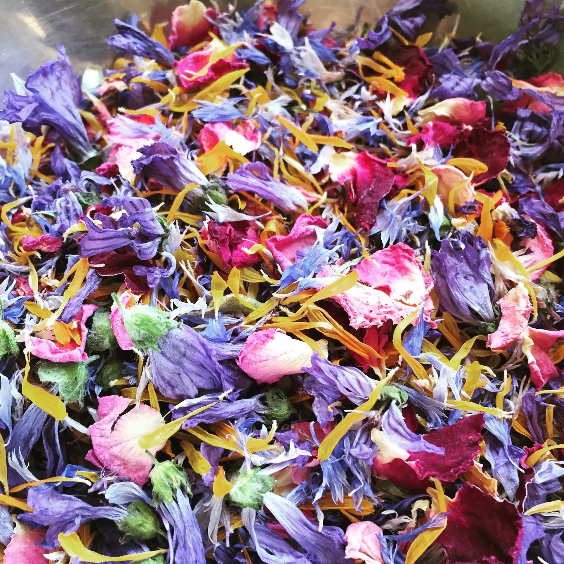 Réalisez des tisanes gourmandes dans une ferme en permaculture - Image n°4 - Wecandoo