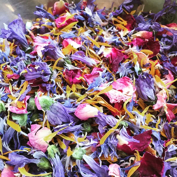 Réalisez des tisanes gourmandes dans une ferme en permaculture - Image n°4 - Wecandoo