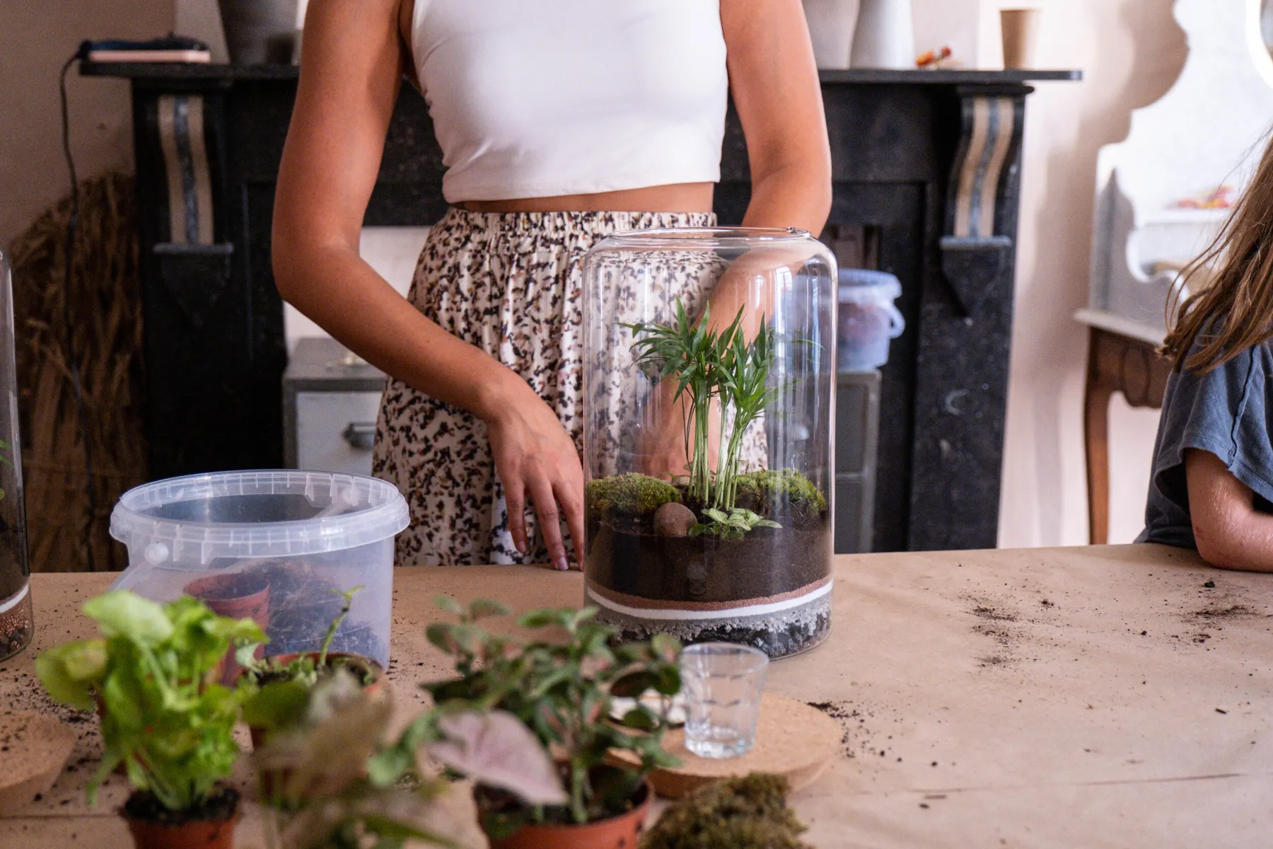 Composez votre terrarium - Image n°4 - Wecandoo