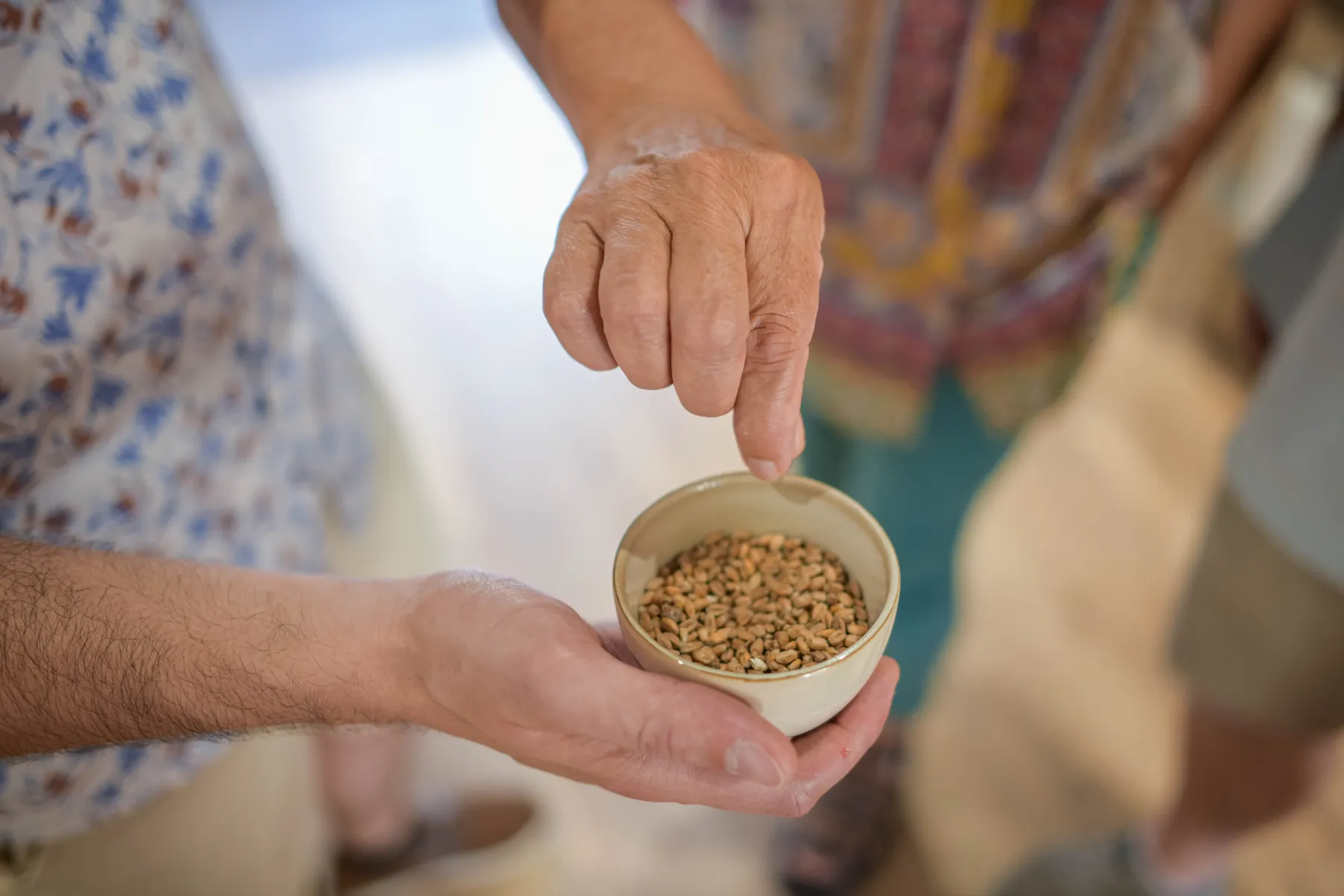 Initiez-vous au brassage artisanal - Image n°2 - Wecandoo